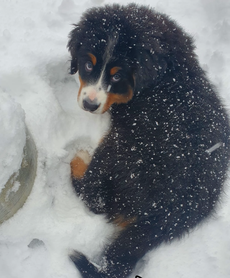 Der erste Schnee für Sophie