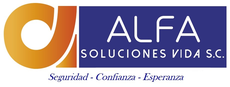 Página web de alfasolucionessmnyl