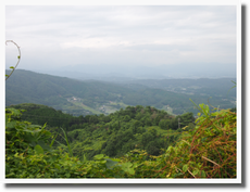 岡山県へ ダーさん 山頂の実家へ②