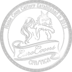 EuroCoons Maine Coon Breeders in USA