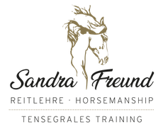 Klassische Dressur am Bodensee – Ganzheitliche Ausbildung für Pferd und Reiter