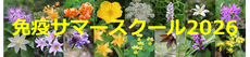 jsi-ss2026 ページ！