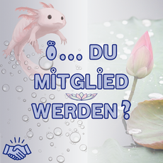 Hier klicken.