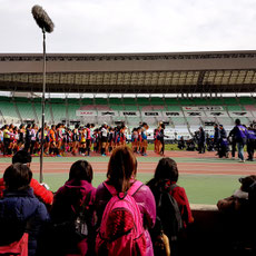 Startaufstellung beim Osaka Women's Marathon