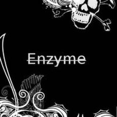 Logo Enzyme, groupe de musique