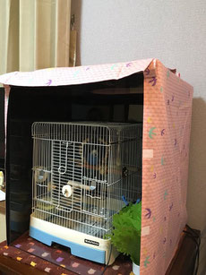 ケージ カバー(鳥かご インコ おやすみ カバー)評判・口コミ3 ケージ カバー(鳥かご インコ おやすみ カバー)評判・口コミ3