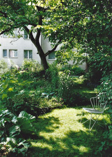 Bild von meinem ersten Garten