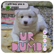 <img source='pic.gif' alt='Deutscher Spitz Preußenspitz Corona Hunde Covidioten' />.