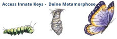 Access Consciousness Kurs