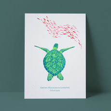 typocean Ulrike Poppe, Grüne Meeresschildkröte, Risographie, 2023