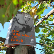 Anne Rabe "Die Möglichkeit von Glück"