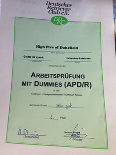 Markierung Land: 20 / Markierung Wasser: 15 / Verlorensuche: 20 / Appell und Memory: 19