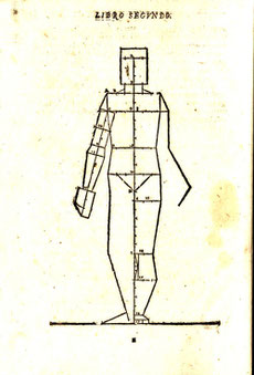 Proporzioni corpo umano