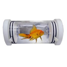 Aquatic Animal Fish Respirometry Chamber Q-AQUA, with Goldfish