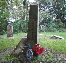 (click to enlarge)