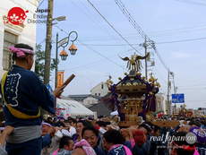 第45回 館林まつり, 2016年7月16日･17日, 群馬県館林市の市民祭り