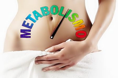 Menu dieta metabolismo lento Menu dieta metabolismo lento