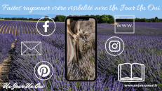 Booster votre visibilité avec Un Jour Un Oui