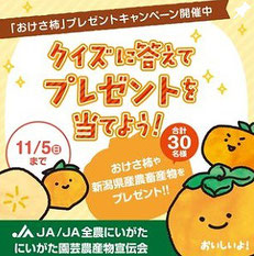 新潟県懸賞-新潟県産の特産品-プレゼント