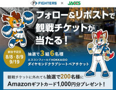 北海道無料招待 - 北海道日本ハムファイターズ ペア観戦チケットプレゼント