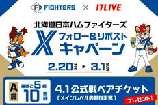 北海道無料招待 - 北海道日本ハム 観戦チケットプレゼント