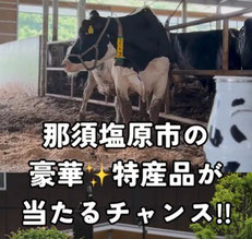 栃木県インスタグラムキャンペーン-那須塩原インスタ投稿キャンペーン