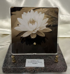 Lotus - 132 €