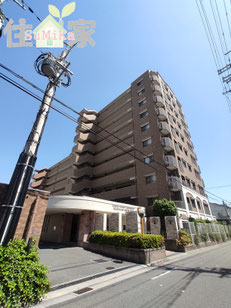 セレッソコート八戸ノ里