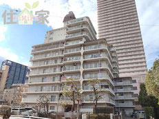 ドルミ京橋