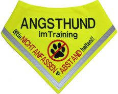 Angsthund, Hund im Training, Hundehalstuch