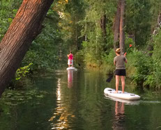 Stand Up Paddle Board Verlein Spreewald in Burg