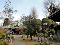 極楽寺