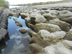 写真-4.23浸食溝