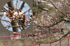 合成の場合原点を基準に決まる