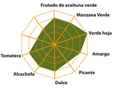 Notas de cata aceite de oliva virgen extra premium