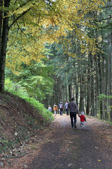 Randonnée, Le Renard perché, La Renaud Rautsch, grand gite, Alsace, Haut Rhin, proche de Colmar, Le Bonhomme, 68650, Col des Bagenelles, charme, nature, deconnexion, relaxation, vue, écologie, méditation, éco-lieu, yoga