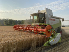 Ernte dreschen Drescher Claas Lexion Mais Sonnenblumen Soja