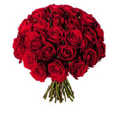 roses rouges mariage