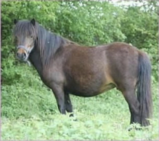 Sa mère, V’la Tipa de Bruère 