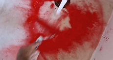 Bains de sang, vidéos, 2012