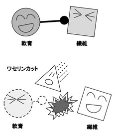 ワセリンカットの働き
