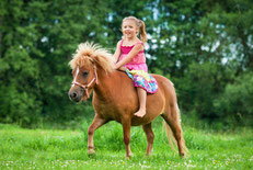 Foto: Fotolia/Rita Kochmarjova