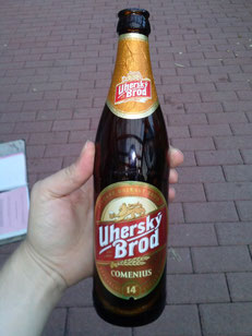 Uhersky Brod Comenius 14