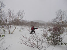 　　まだまだラッセルは続く！！(1300m手前)