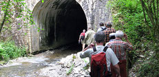 Traumschleife Masdascher Burgherrenweg