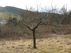 Foto: NABU/M. Gräwe