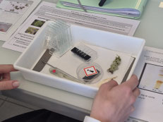 Viel Gelegenheit zum Experimentieren im Naturwissenschaftsunterricht.