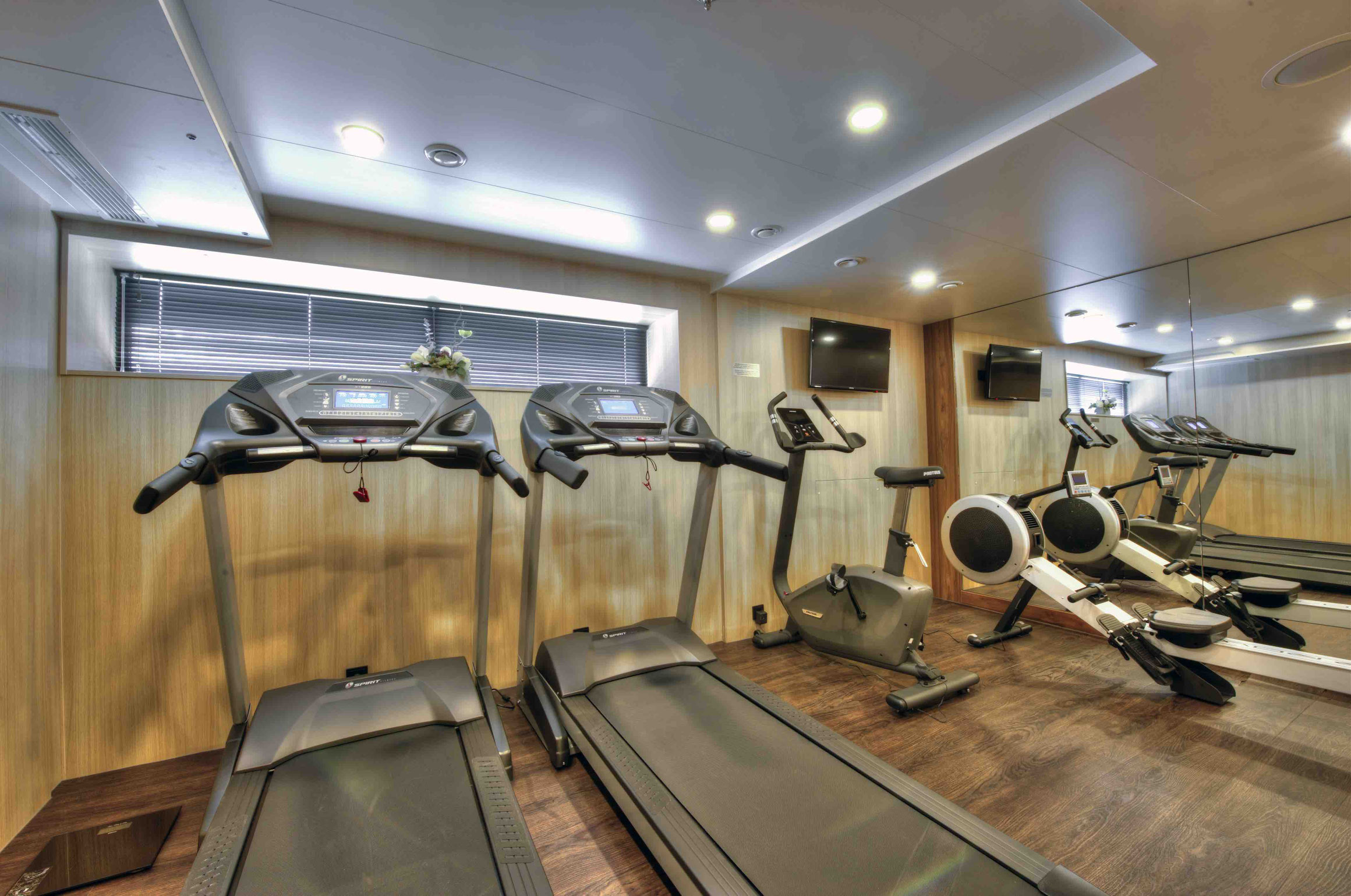 MS Anesha Fitnessbereich