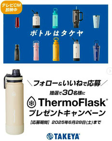 タケヤ ウォーターボトル ThermoFlask プレゼント