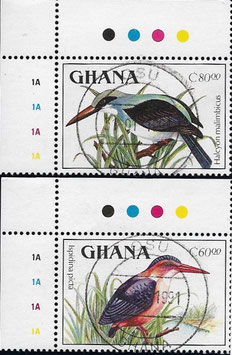 Ghana Halcyon milimbica Lesser Kingfisher Ispidina picta Blue-breasted Kingfisher